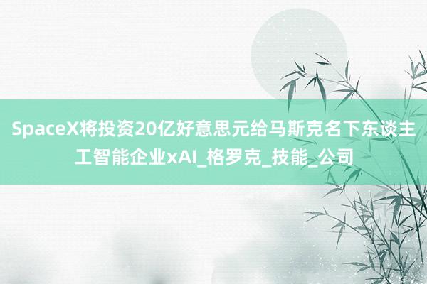 SpaceX将投资20亿好意思元给马斯克名下东谈主工智能企业xAI_格罗克_技能_公司