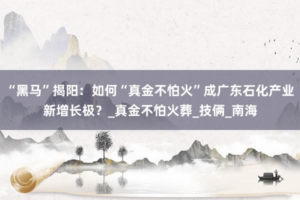 “黑马”揭阳：如何“真金不怕火”成广东石化产业新增长极？_真金不怕火葬_技俩_南海