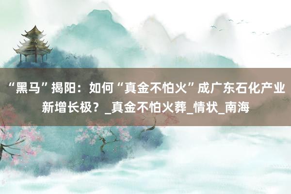 “黑马”揭阳：如何“真金不怕火”成广东石化产业新增长极？_真金不怕火葬_情状_南海