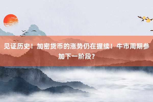 见证历史！加密货币的涨势仍在握续！牛市周期参加下一阶段？