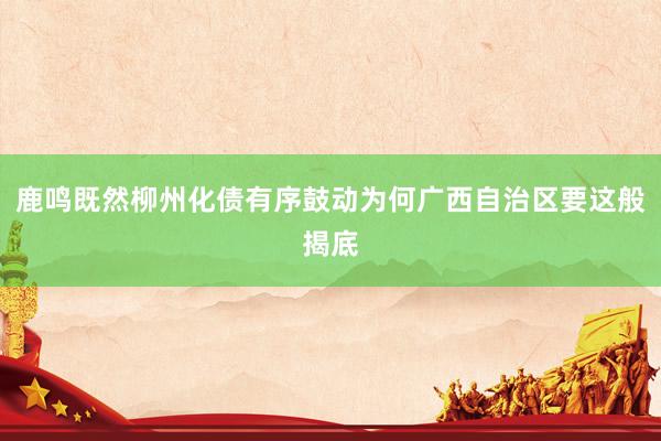 鹿鸣既然柳州化债有序鼓动为何广西自治区要这般揭底