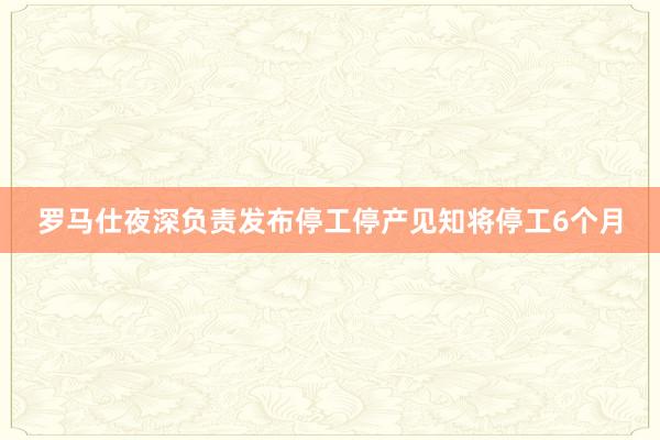 罗马仕夜深负责发布停工停产见知将停工6个月