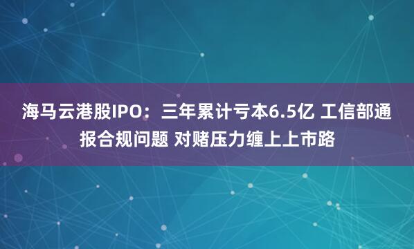 海马云港股IPO：三年累计亏本6.5亿 工信部通报合规问题 对赌压力缠上上市路