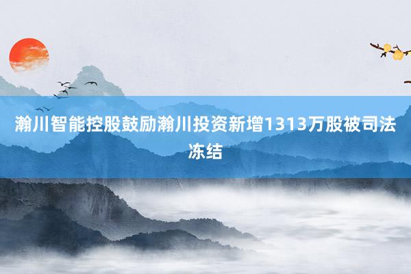 瀚川智能控股鼓励瀚川投资新增1313万股被司法冻结
