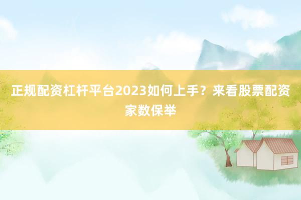 正规配资杠杆平台2023如何上手？来看股票配资家数保举