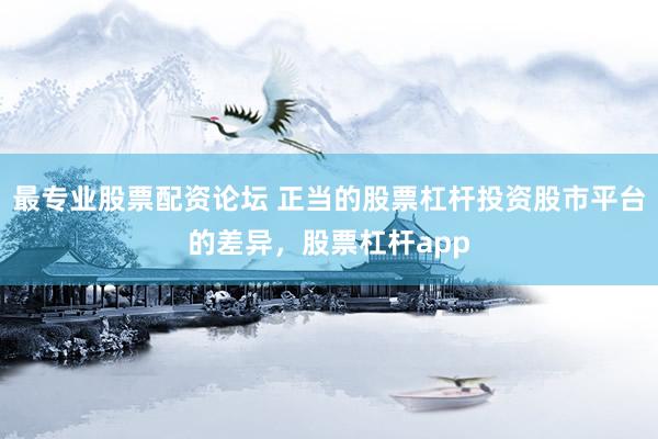 最专业股票配资论坛 正当的股票杠杆投资股市平台的差异，股票杠杆app