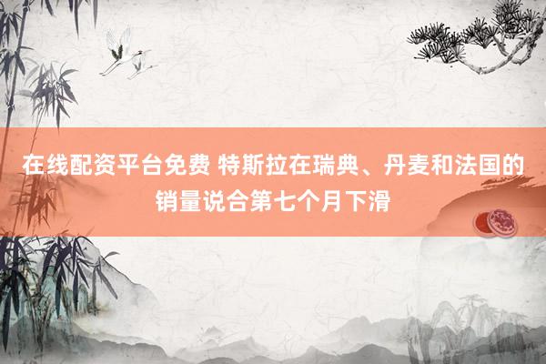 在线配资平台免费 特斯拉在瑞典、丹麦和法国的销量说合第七个月下滑