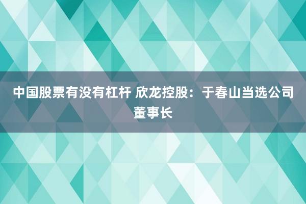 中国股票有没有杠杆 欣龙控股：于春山当选公司董事长
