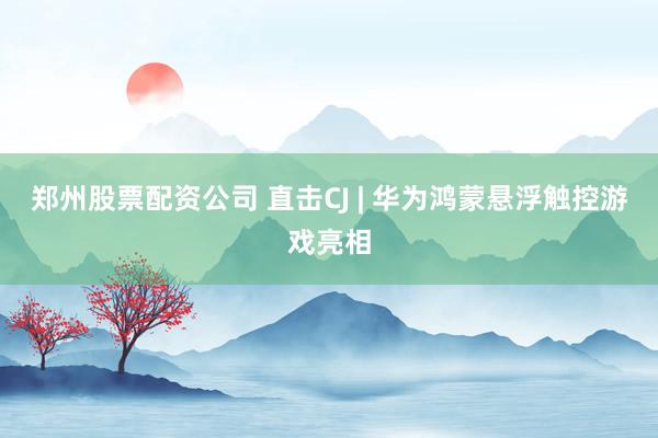 郑州股票配资公司 直击CJ | 华为鸿蒙悬浮触控游戏亮相