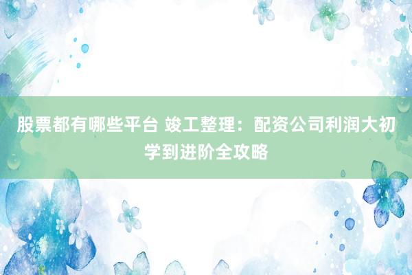 股票都有哪些平台 竣工整理：配资公司利润大初学到进阶全攻略