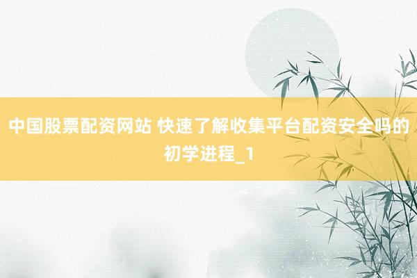 中国股票配资网站 快速了解收集平台配资安全吗的初学进程_1