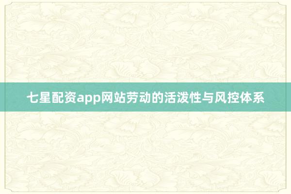 七星配资app网站劳动的活泼性与风控体系