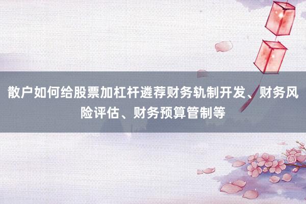 散户如何给股票加杠杆遴荐财务轨制开发、财务风险评估、财务预算管制等