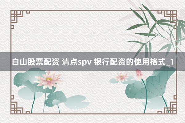 白山股票配资 清点spv 银行配资的使用格式_1