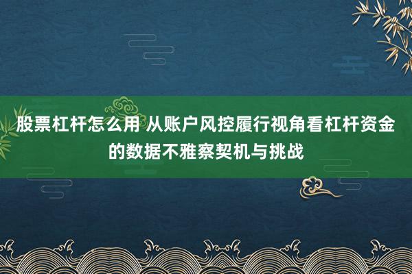 股票杠杆怎么用 从账户风控履行视角看杠杆资金的数据不雅察契机与挑战