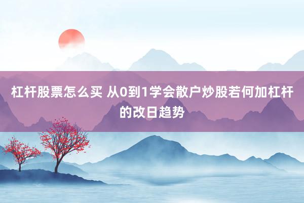 杠杆股票怎么买 从0到1学会散户炒股若何加杠杆的改日趋势