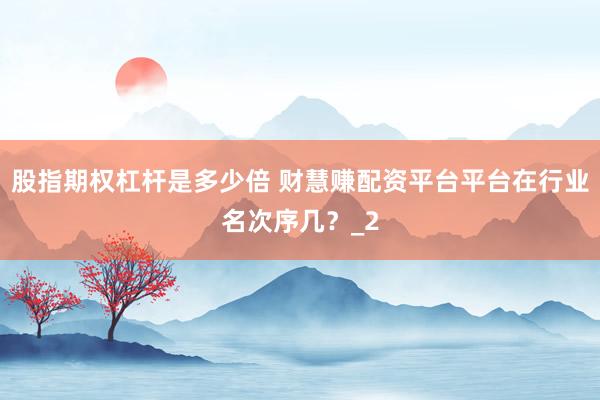 股指期权杠杆是多少倍 财慧赚配资平台平台在行业名次序几？_2