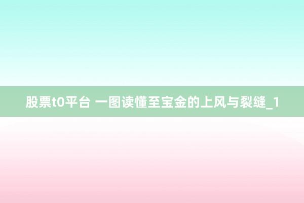 股票t0平台 一图读懂至宝金的上风与裂缝_1